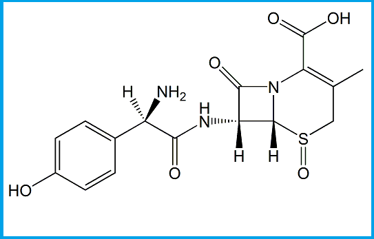 CEFADROXIL SULFOXIDE IMPURITY